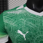 2026 Player Version Côte d'Ivoire Special Edition Green Football Shirt 1:1 Thai Quality - 图片 4