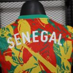 2024/2025 Player Version Senegal National Team Training Wear Football Shirt 1:1 Thai Quality - 图片 8