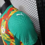 2024/2025 Player Version Senegal National Team Training Wear Football Shirt 1:1 Thai Quality - 图片 7