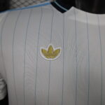 2026 Player Version Argentina Special Edition Jersey 1:1 Thai Quality - 图片 4