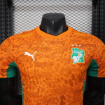 2026 Player Version Côte d'Ivoire Home Football Shirt 1:1 Thai Quality - 图片 3