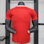 2024/2025 Player Version Manchester United Special Edition Red Football Shirt 1:1 Thai Quality - 图片 2