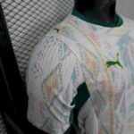 2026 Player Version Senegal National Team Home World Cup Football Shirt - 图片 7