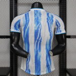 2026 Player Version Argentina Special Edition Jersey  1:1 Thai Quality - 图片 2