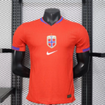 2025 Player Version Norway National Team Home Football Shirt 1:1 Thai Quality