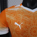 2026 Player Version Côte d'Ivoire Special Edition Football Shirt 1:1 Thai Quality - 图片 4