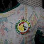 2026 Player Version Senegal National Team Home World Cup Football Shirt - 图片 5