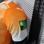 2026 Player Version Côte d'Ivoire Special Edition Football Shirt 1:1 Thai Quality - 图片 7