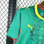 2026 Senegal National Team Away Football Shirt - 图片 6