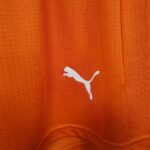 2026 Player Version Côte d'Ivoire Football Shorts 1:1 Thai Quality - 图片 4