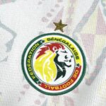 2026 Senegal National Team Home Football Shirt 1:1 Thai Quality - 图片 6