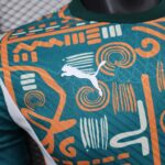 2024/2025 Player Version Côte d'Ivoire National Team Training Wear Football Shirt 1:1 Thai Quality - 图片 4