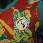 2024/2025 Player Version Senegal National Team Training Wear Football Shirt 1:1 Thai Quality - 图片 6