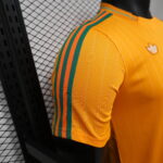 2026 Player Version Côte d'Ivoire Special Edition Football Shirt 1:1 Thai Quality - 图片 6