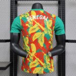 2024/2025 Player Version Senegal National Team Training Wear Football Shirt 1:1 Thai Quality - 图片 2