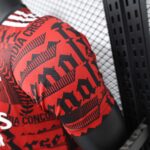2024/2025 Player Version Arsenal Special Edition Red Football Shirt 1:1 Thai Quality - 图片 7