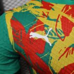 2024/2025 Player Version Senegal National Team Training Wear Football Shirt 1:1 Thai Quality - 图片 4