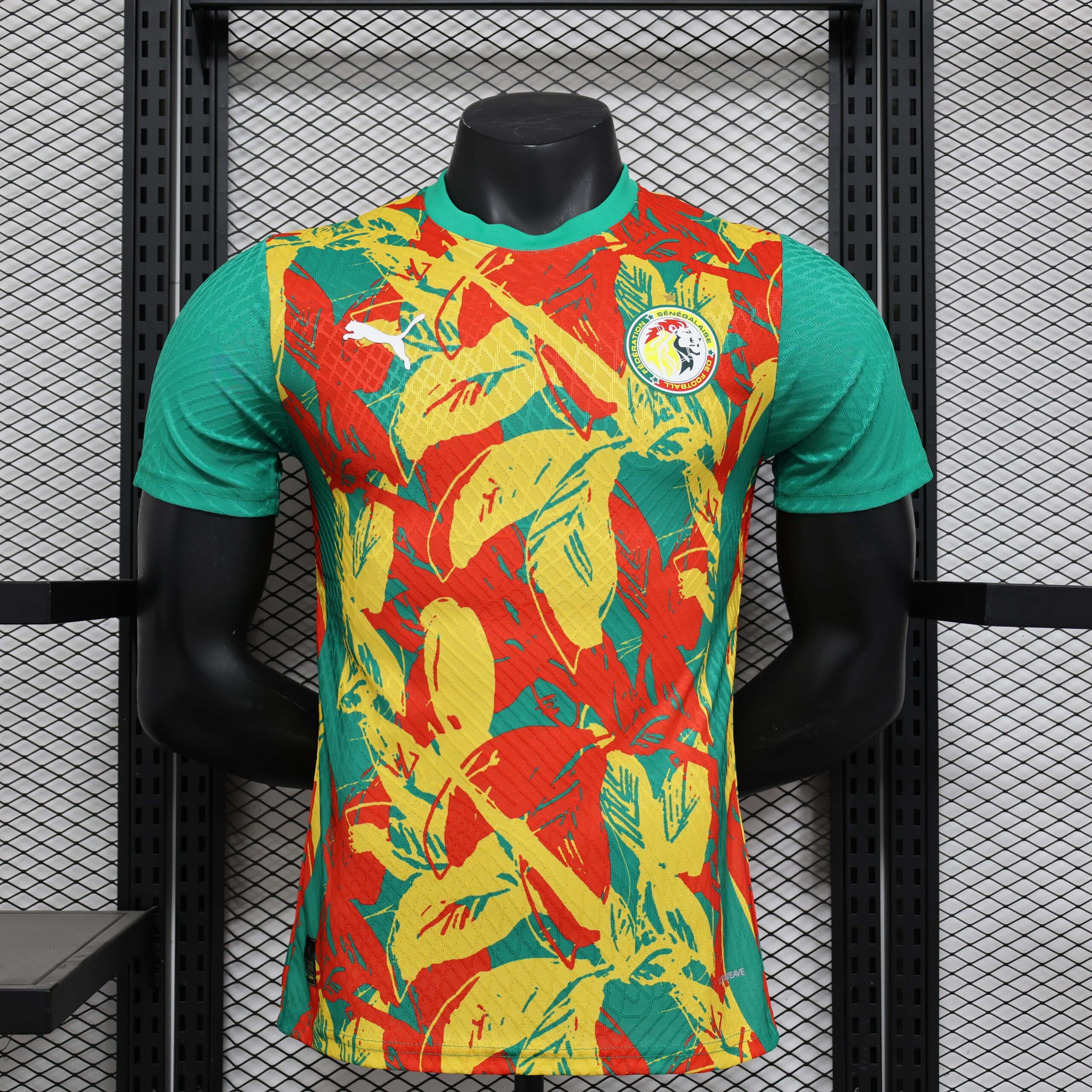 639a6ff1e2de35d73645132b3db3ff80 2024/2025 Player Version Senegal National Team Training Wear Football Shirt 1:1 Thai Quality - 图片 1