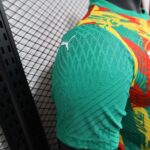 2024/2025 Player Version Senegal National Team Training Wear Football Shirt 1:1 Thai Quality - 图片 3