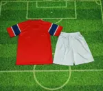 2026 Norway National Team Home Football Shirt 1:1 Thai Quality Kids Size - 图片 4