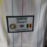 2026 Player Version Senegal National Team Special Edition Football Shirt - 图片 8