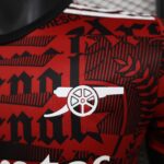 2024/2025 Player Version Arsenal Special Edition Red Football Shirt 1:1 Thai Quality - 图片 6