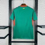 2026 Senegal National Team Away Football Shirt - 图片 2