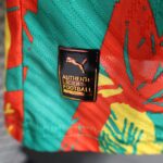 2024/2025 Player Version Senegal National Team Training Wear Football Shirt 1:1 Thai Quality - 图片 9
