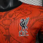 2024/2025 Player Version Liverpool Special Edition Orange Football Shirt 1:1 Thai Quality - 图片 5