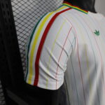 2026 Player Version Senegal National Team Special Edition Football Shirt - 图片 6
