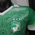 2026 Player Version Côte d'Ivoire Special Edition Green Football Shirt 1:1 Thai Quality - 图片 5