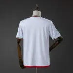 2024 Player Version Spain Special Edition Football Jersey 1:1 Thai Quality - 图片 11