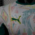 2026 Player Version Senegal National Team Home World Cup Football Shirt - 图片 4