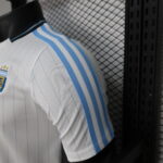 2026 Player Version Argentina Special Edition Jersey 1:1 Thai Quality - 图片 7