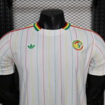 2026 Player Version Senegal National Team Special Edition Football Shirt - 图片 3