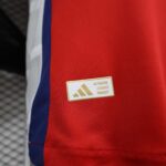 2024-2025 Players Version Arsenal Home Football Shirt 1:1 Thai Quality - 图片 9