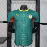 2026 Player Version Senegal National Team Away Football Shirt