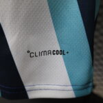 2026 Player Version Argentina Special Edition Jersey  1:1 Thai Quality - 图片 7