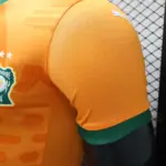 2024 Player Version Côte d'Ivoire Home Football Shirt 1:1 Thai Quality - 图片 6