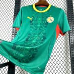 2026 Senegal National Team Away Football Shirt - 图片 5