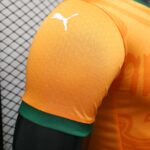 2024 Player Version Côte d'Ivoire Home Football Shirt 1:1 Thai Quality - 图片 3