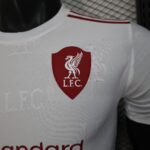 2025/2026 Player Version Liverpool Special Edition 10 Football Jersey 1:1 Thai Quality - 图片 5