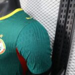 2026 Player Version Senegal National Team Away Football Shirt - 图片 5