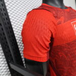 2026 Player Version Türkiye National Team Home Football Shirt 1:1 Thai Quality - 图片 6