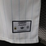 2026 Player Version Argentina Special Edition Jersey 1:1 Thai Quality - 图片 8