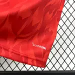 2026 Belgium National Team Home Football Shirt 1:1 Thai Quality - 图片 10