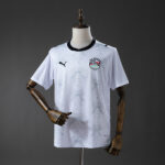 2026 Egypt National Team World Cup Away Football Shirt 1:1 Thai Quality - 图片 6