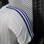 2025/2026 Player Edition Chelsea Casual Jersey 1:1 Thai Quality - 图片 7