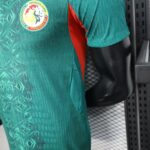 2026 Player Version Senegal National Team Away Football Shirt - 图片 9