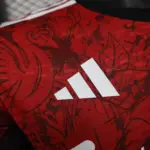 2024/2025 Player Version Liverpool Special Edition Red Football Shirt 1:1 Thai Quality - 图片 4